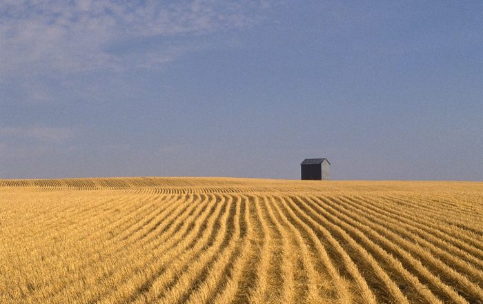 Saskatchewan will continue to accept SINP candidates